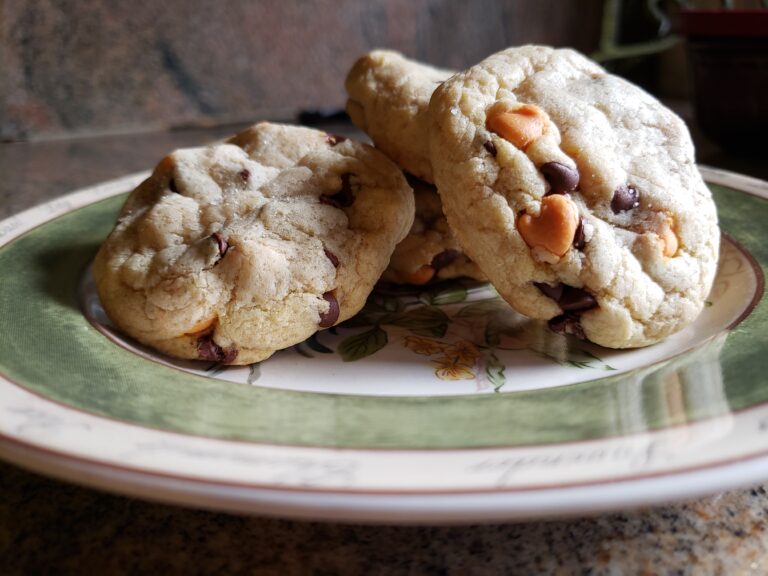 homemade chocolate chip cookies